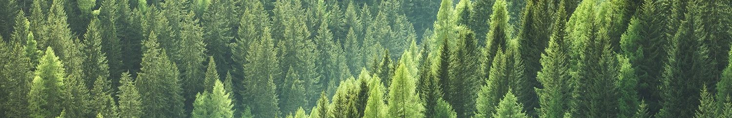 Kawneer Forest