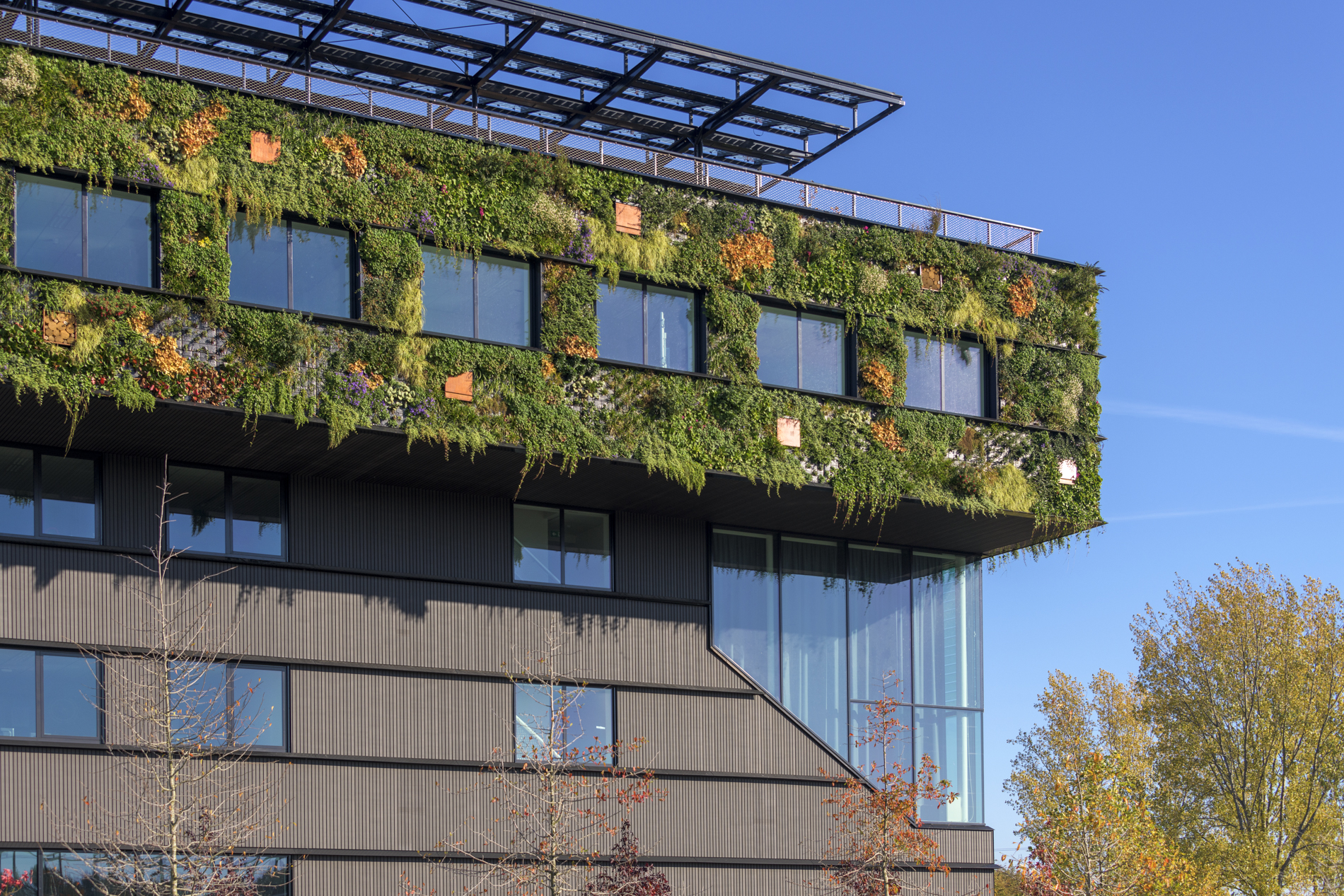 Detail van Aeres Hogeschool gebouw in Almere met glazen façade.
