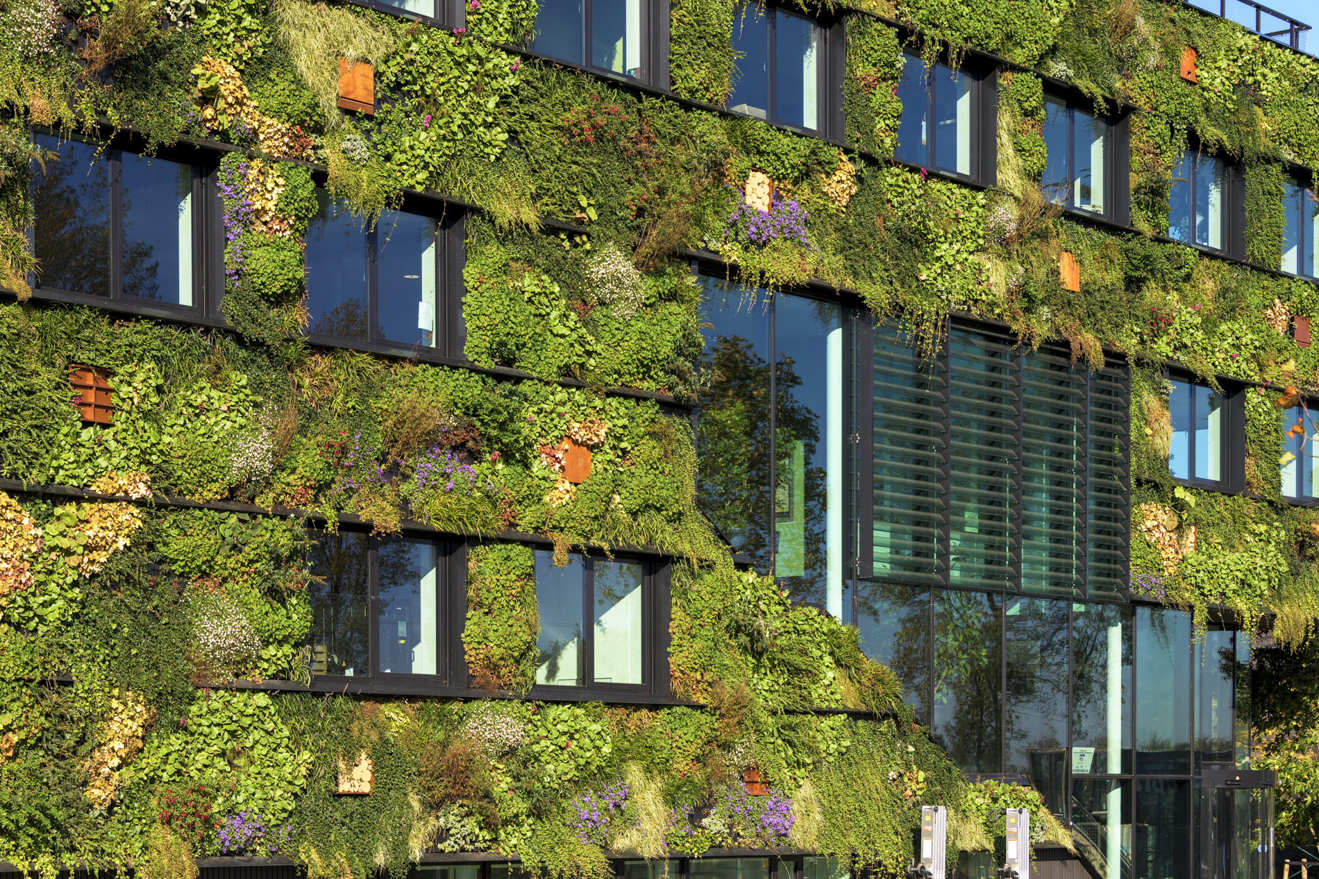 Voorzijde van Aeres Hogeschool in Almere met strakke architectonische lijnen.